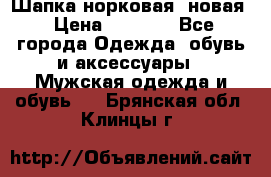 Шапка норковая, новая › Цена ­ 5 000 - Все города Одежда, обувь и аксессуары » Мужская одежда и обувь   . Брянская обл.,Клинцы г.